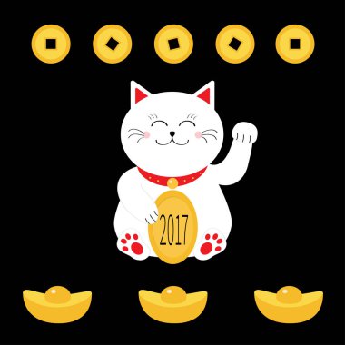 Altın sikke ile şanslı kedi