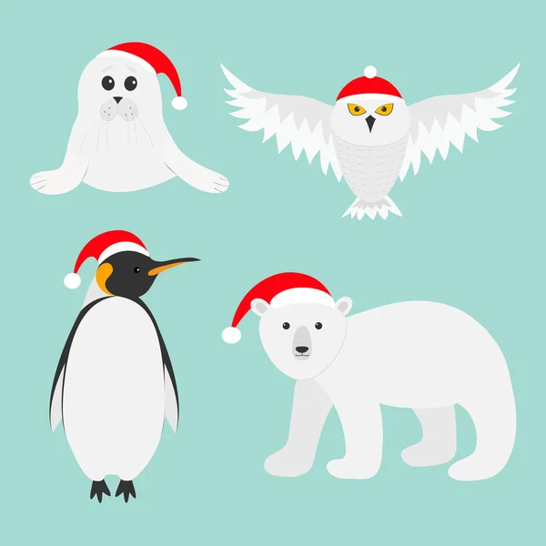 Arctic polar animal set — Stock Vector