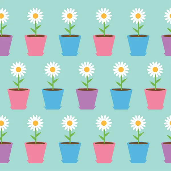 W hite daisy flowers in pots — Stock Vector