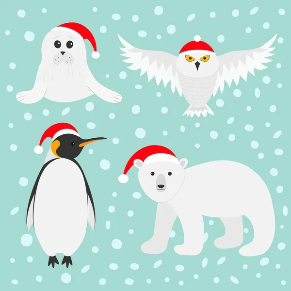 Arctic polar animals set — Stock Vector