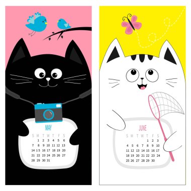 Kediler takvim 2017.