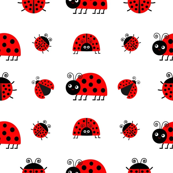 Ladybugs modello senza soluzione di continuità — Vettoriale Stock
