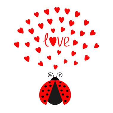 uğur böceği ve kalpleri ile hediye kartı