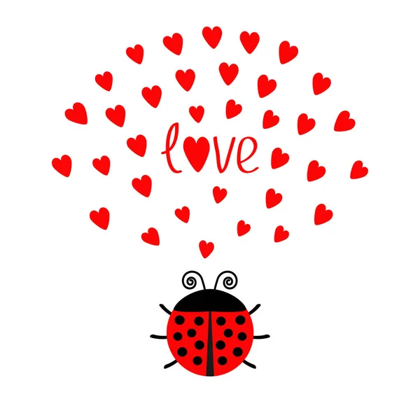 Rood lieveheersbeestje insect — Stockvector