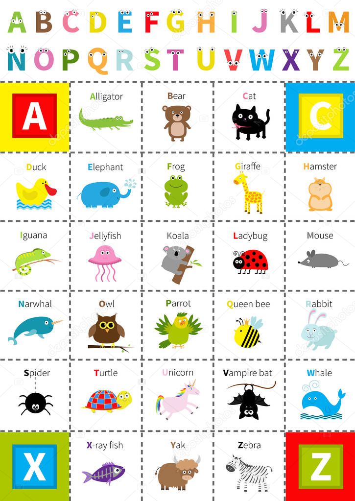 Animal zoo alphabet 