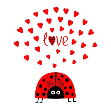 kırmızı uğur böceği böcek 