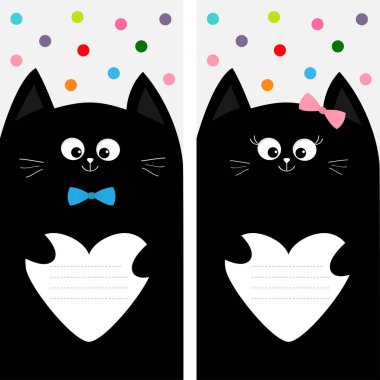 Siyah ve beyaz kedi kaç