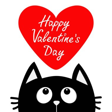 Kara kedi arıyorum