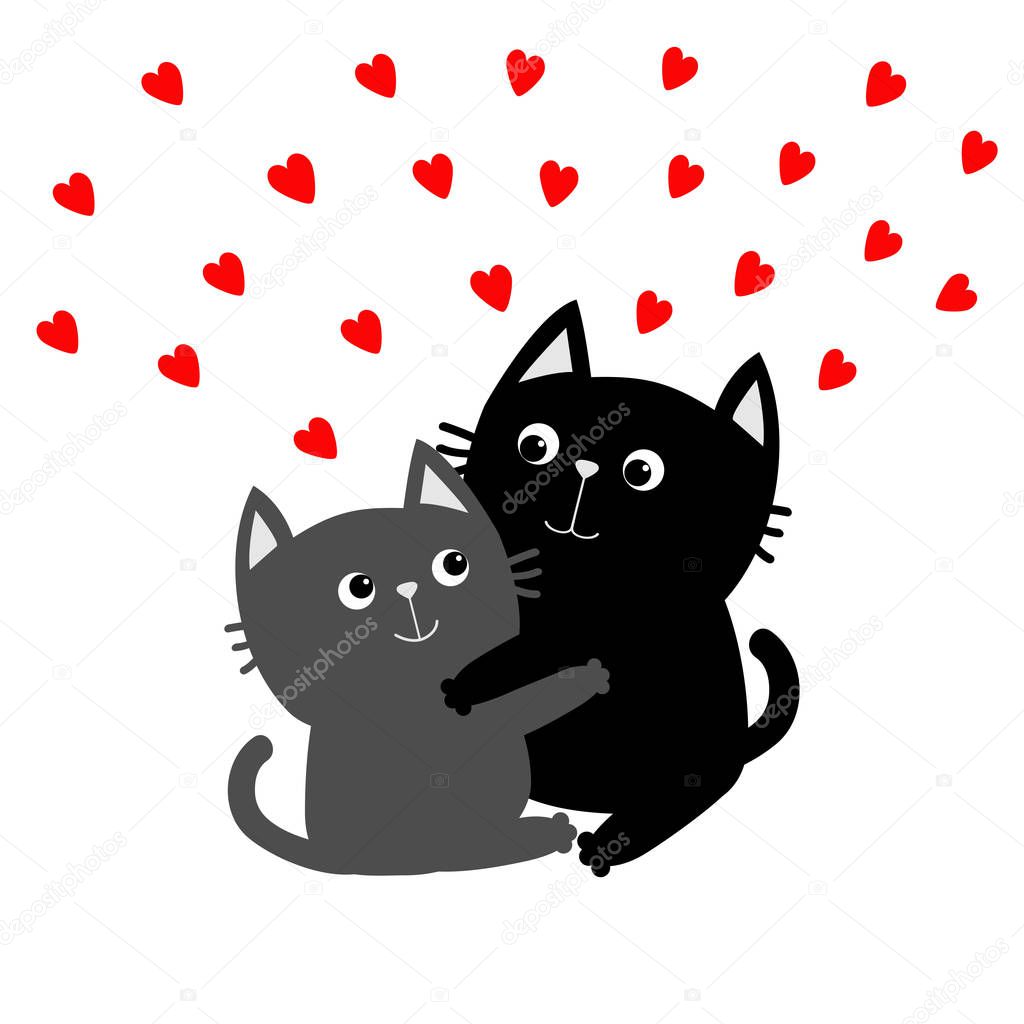 Black  and gray cat hugging