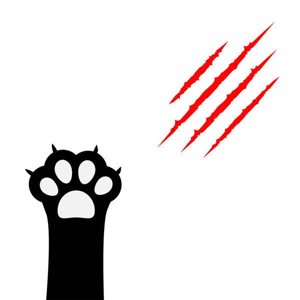 Bloody claws animal red scratch