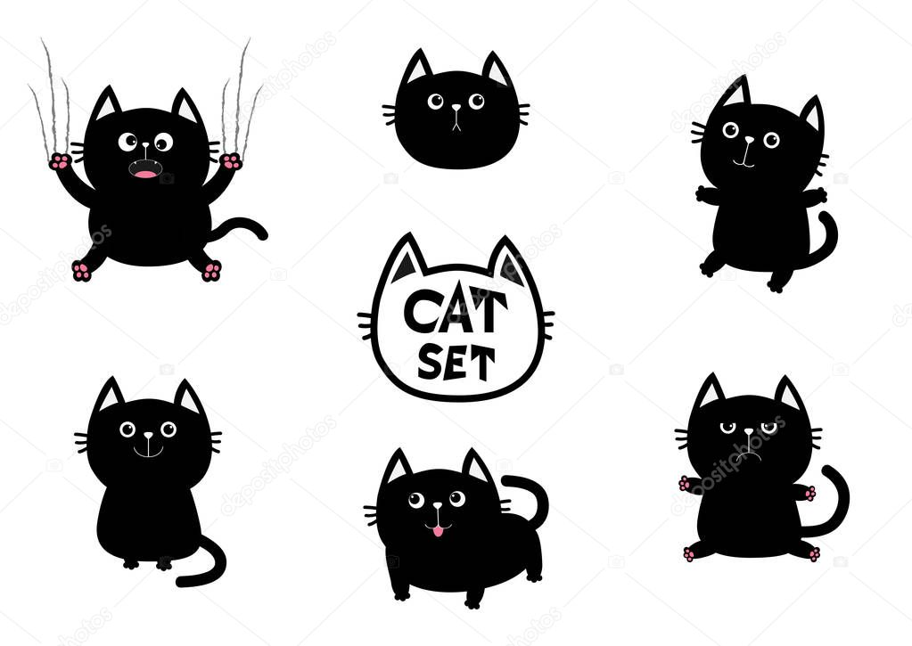 Black fat cat set. 