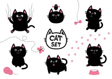 Siyah şişman kedi seti