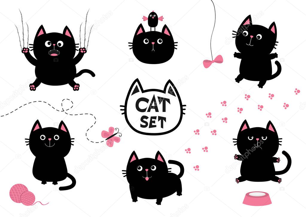 Black fat cat set