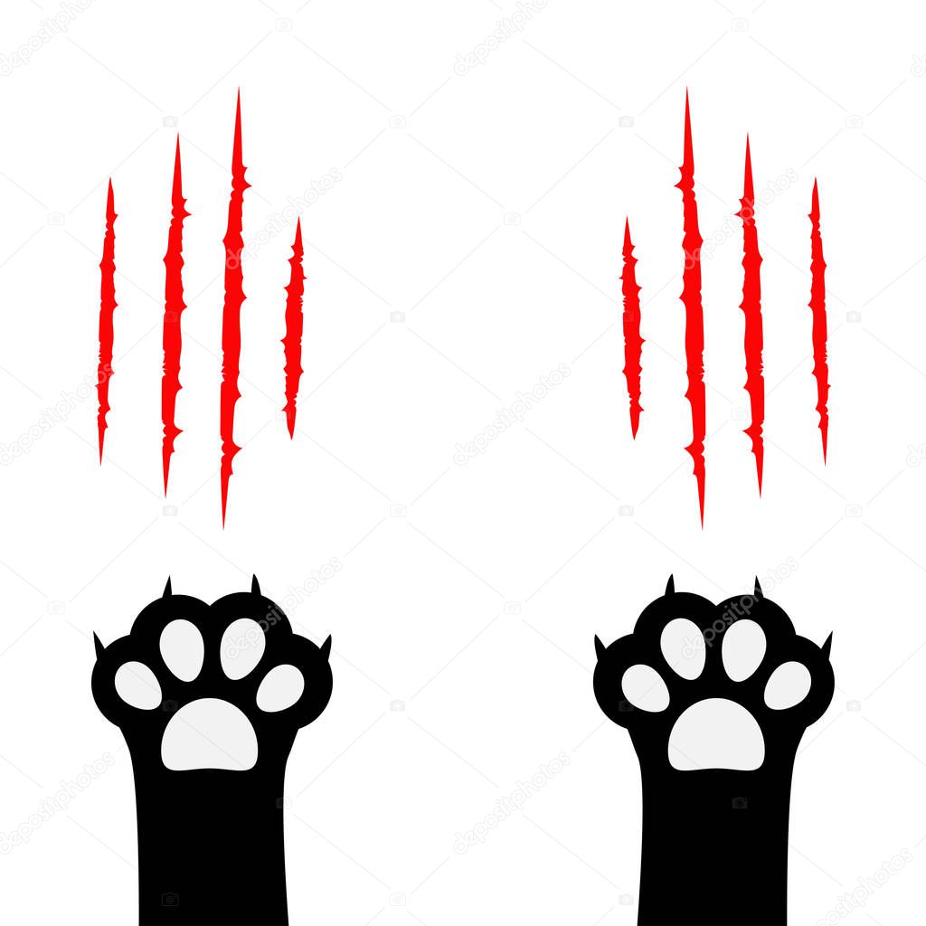 Black cat scratching paw silhouettes