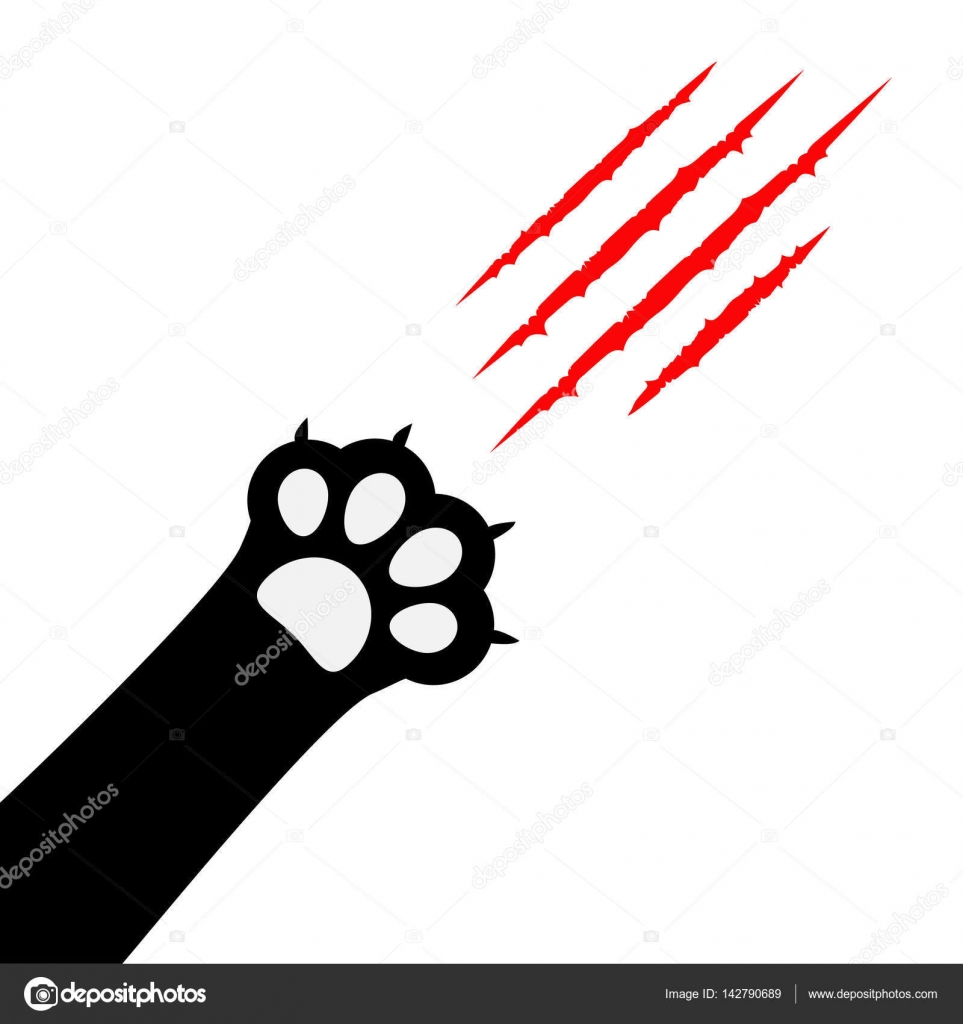 Black cat paw leg Image by ©worldofvector #142790689