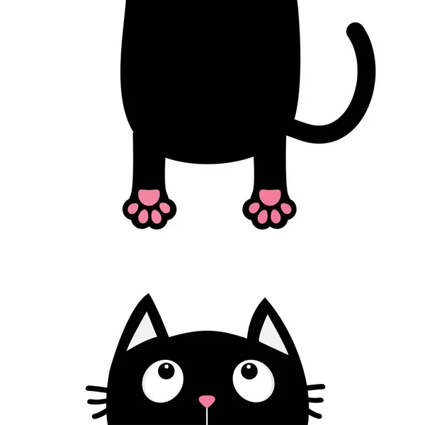 Schwarze Katze schaut auf — Stockvektor