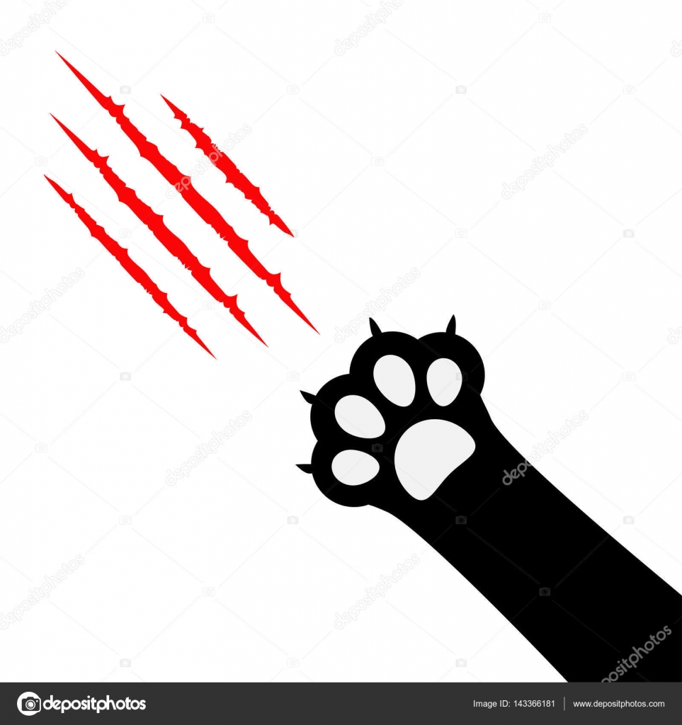 Patte De Chat Images Vectorielles Patte De Chat Vecteurs Libres De Droits Depositphotos