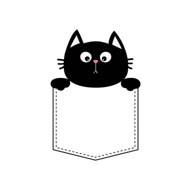 Cebinde kara kedi
