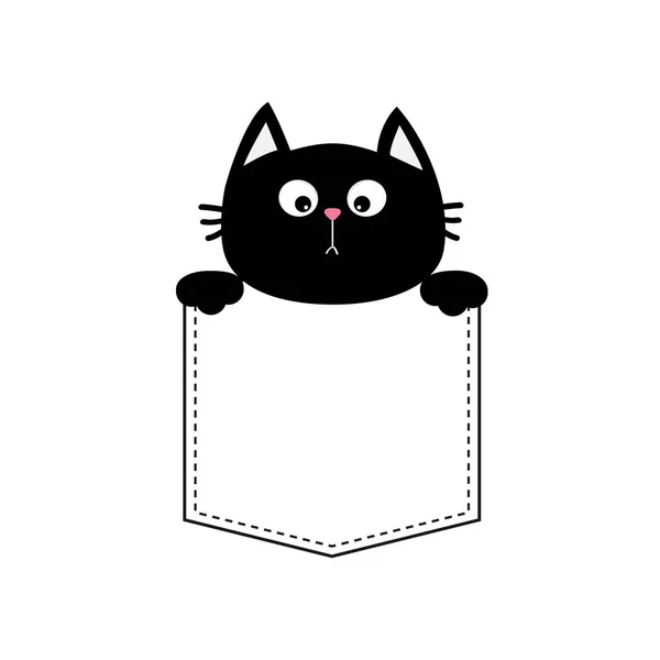 ポケットの中の黒い猫 — ストックベクタ