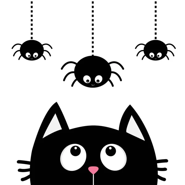 Black cat looking up to spiders — Stock Vector