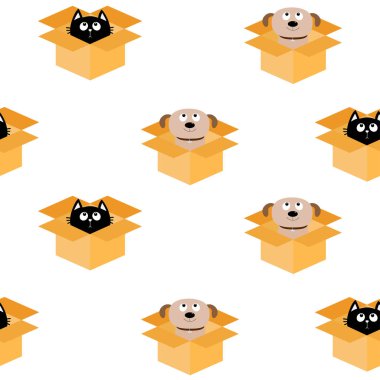 Kediler ve köpekler kutusunun içinde 