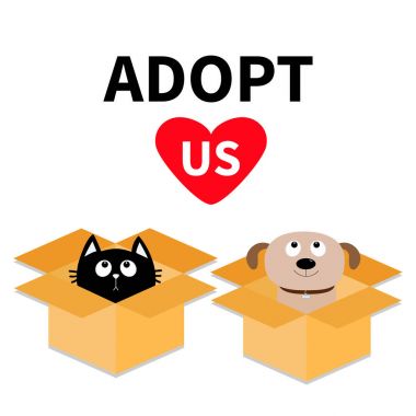 kedi ve köpek kutular içinde