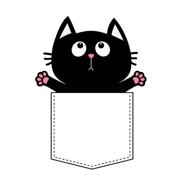 Chat noir dans la poche — Image vectorielle