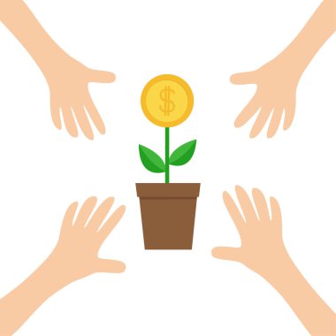 para ağacı büyüyen