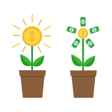 Kağıt para ağaçları büyüyor 