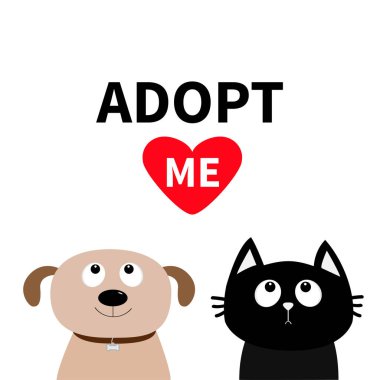 Köpek ve kedi evde beslenen hayvan evlat edinmek poster
