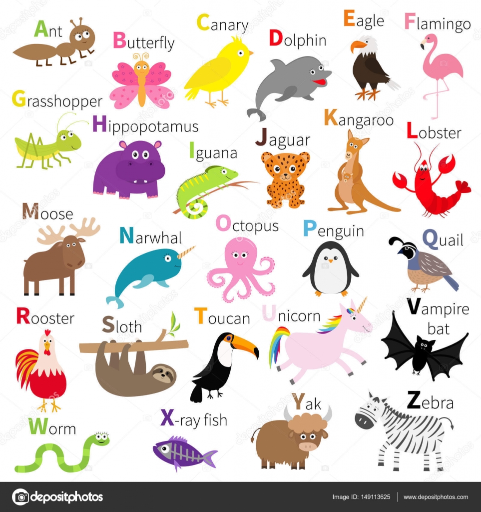 Zoo animals alphabet Stock Vector Image by ©worldofvector #149113625