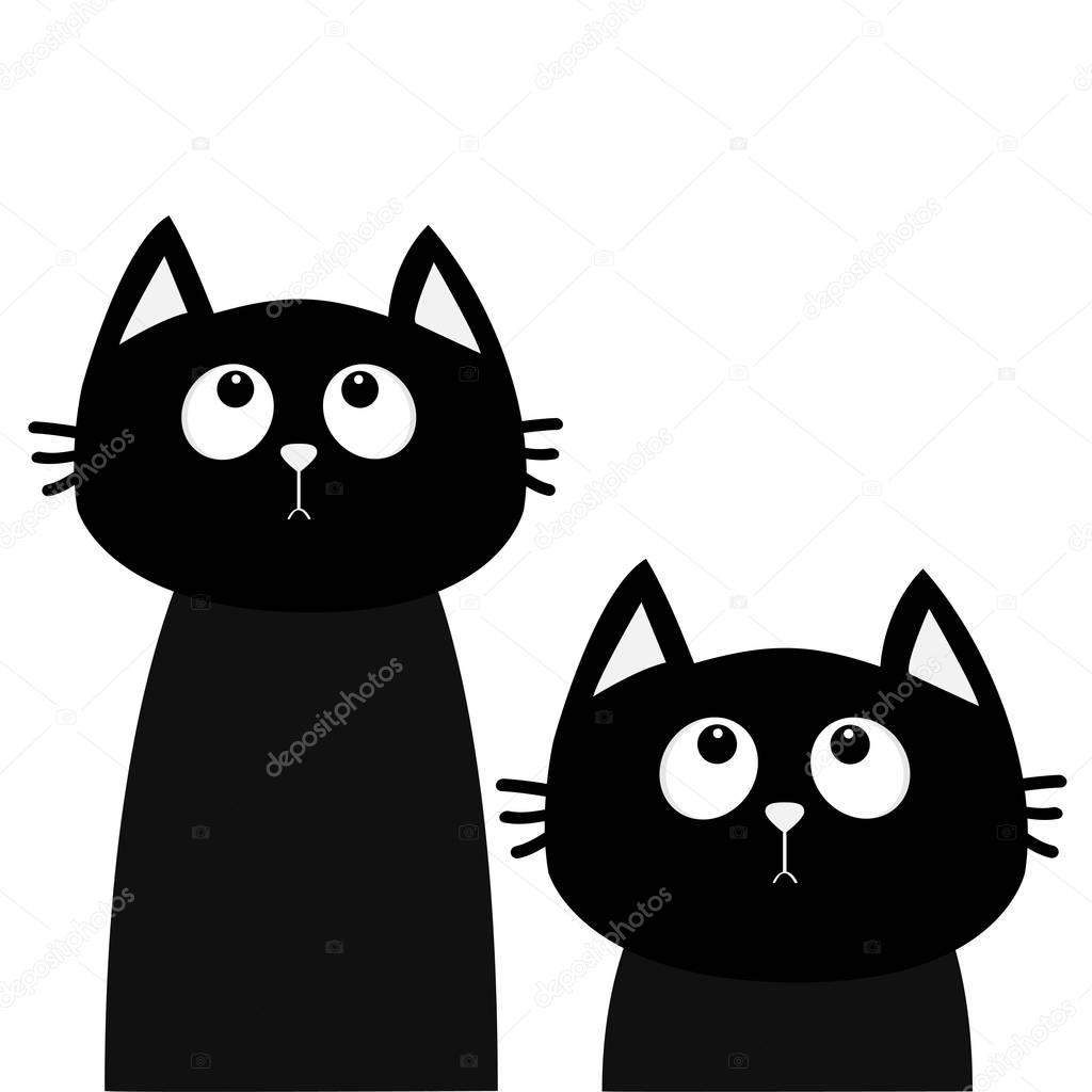 Two black cats looking up