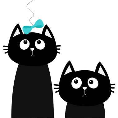 İki sevimli siyah kedi