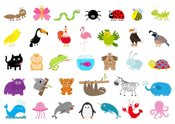 Personnages animaux dessin animé mignon — Image vectorielle