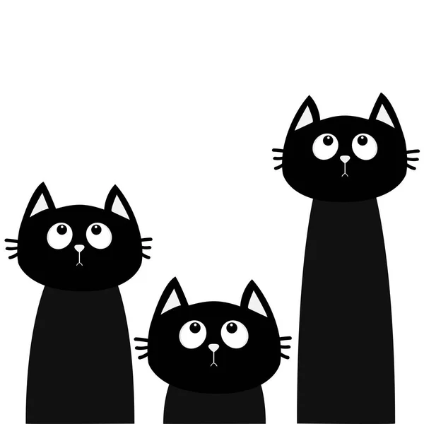 Three black cats looking up — Stock Vector