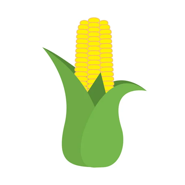 Corn cob ear with leaves icon — Stock Vector