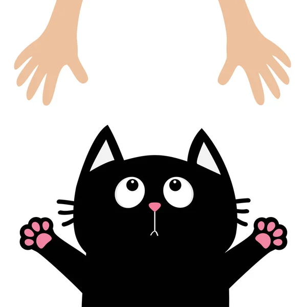 Кіт дивиться на людські руки — стоковий вектор