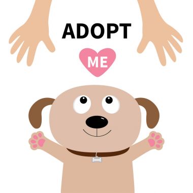 Köpek yavrusu için insan eli ararken
