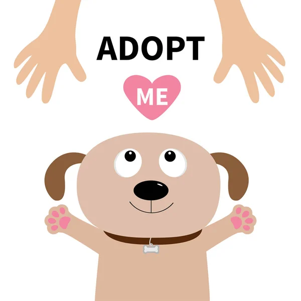 Puppy looking up to human hand — Stock Vector