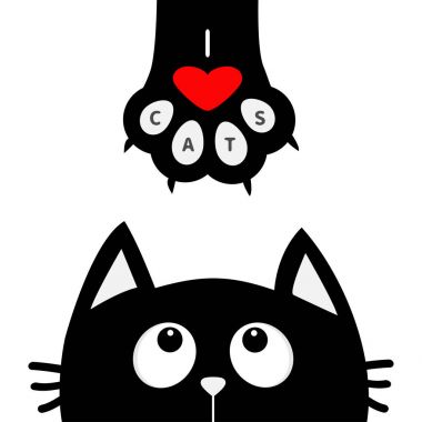 kedi için kalp ile pençe seyir
