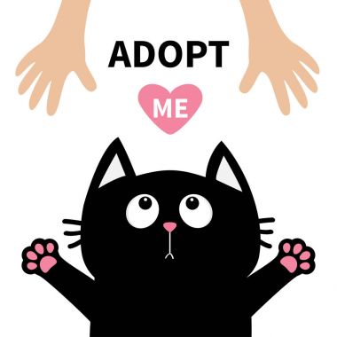 kedi için insan eli seyir