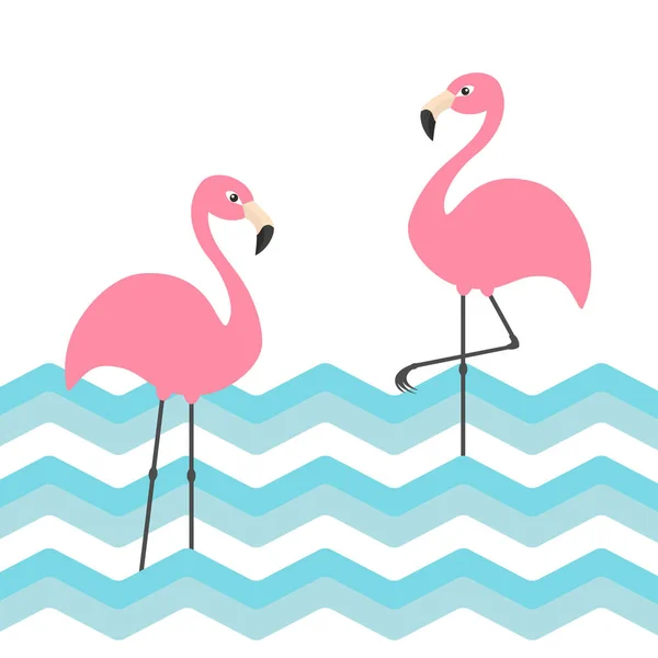 İki pembe flamingo. — Stok Vektör