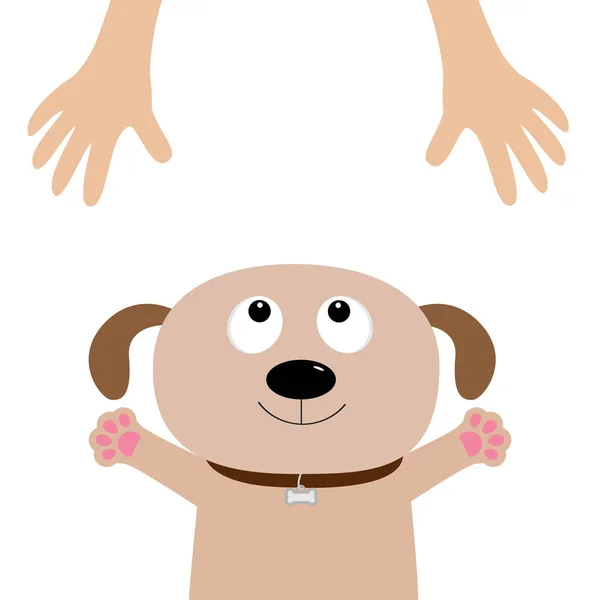 Puppy pooch op zoek naar menselijke handen — Stockvector