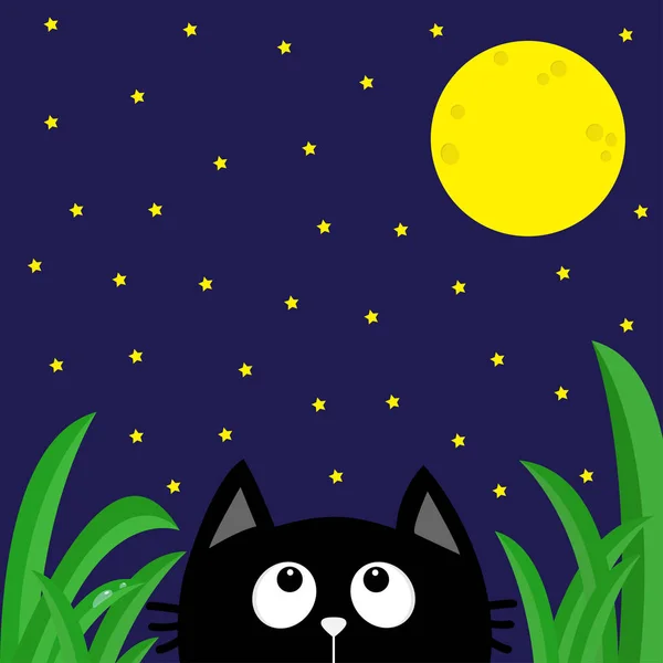 Gato preto olhando para estrelas e lua —  Vetores de Stock