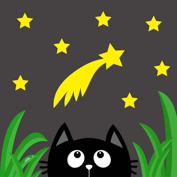 Zwarte kat op zoek naar de komeet — Stockvector