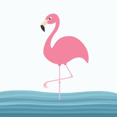 Pembe flamingo tek ayak üstünde duruyor. 