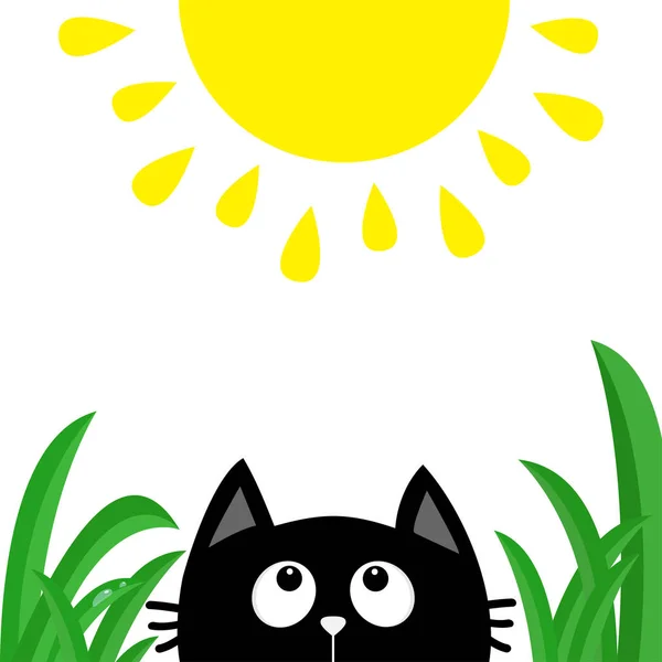 Silhouette testa gatto nero — Vettoriale Stock