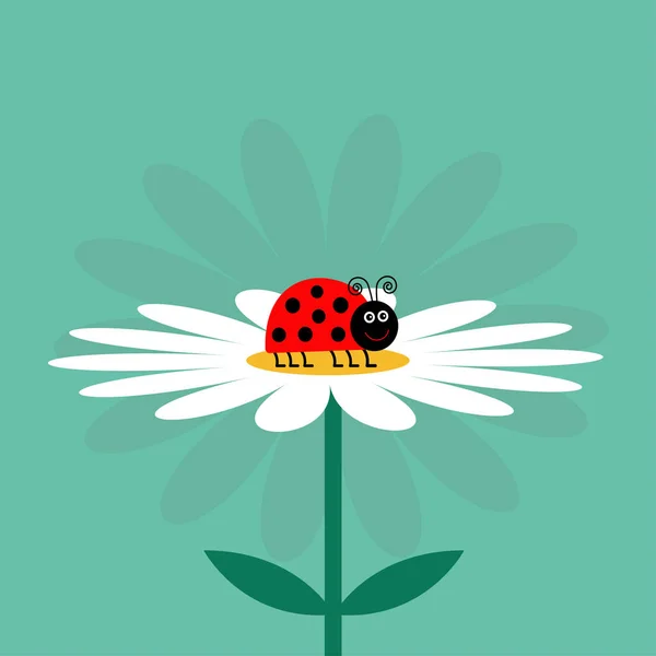 Ladybug ladybird insect — Stockvector