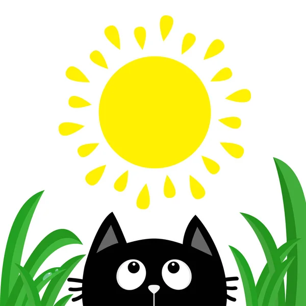 Silhouette testa gatto nero — Vettoriale Stock