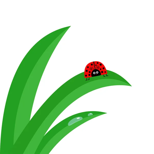 草の葉の上のてんとう虫 — ストックベクタ